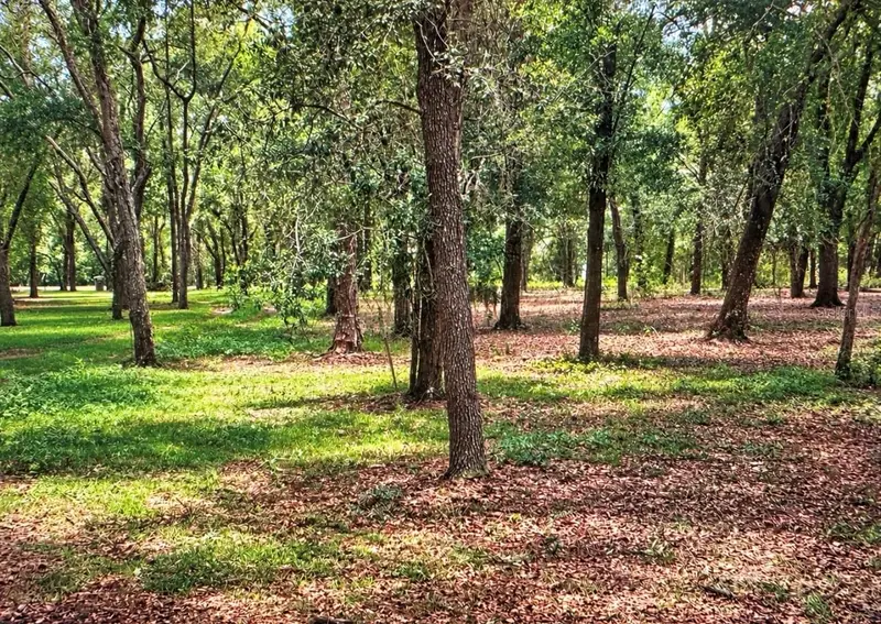 Rolling Acres Rd, FL