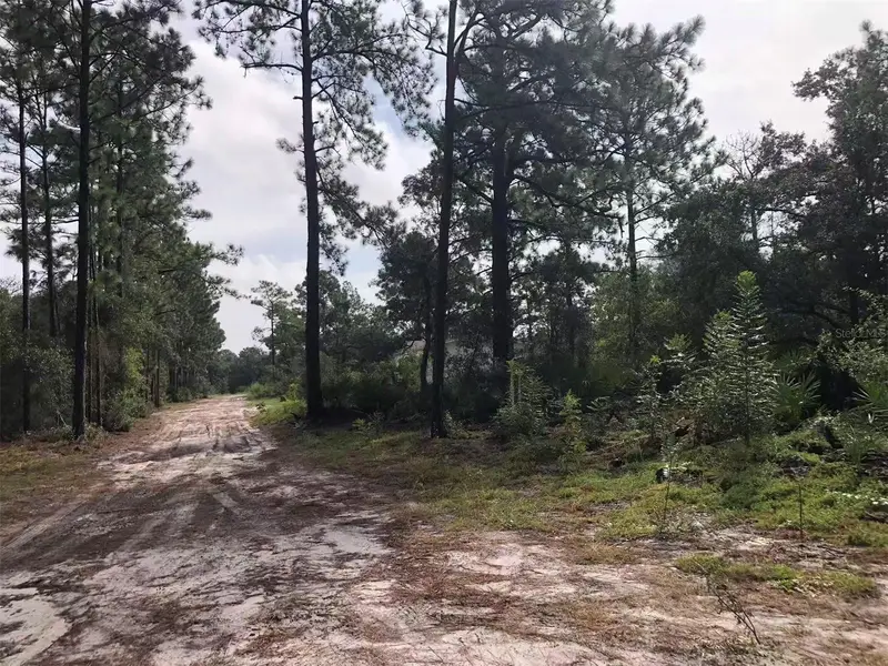 Lot 228 Park Forest Blvd #Lot 228, FL