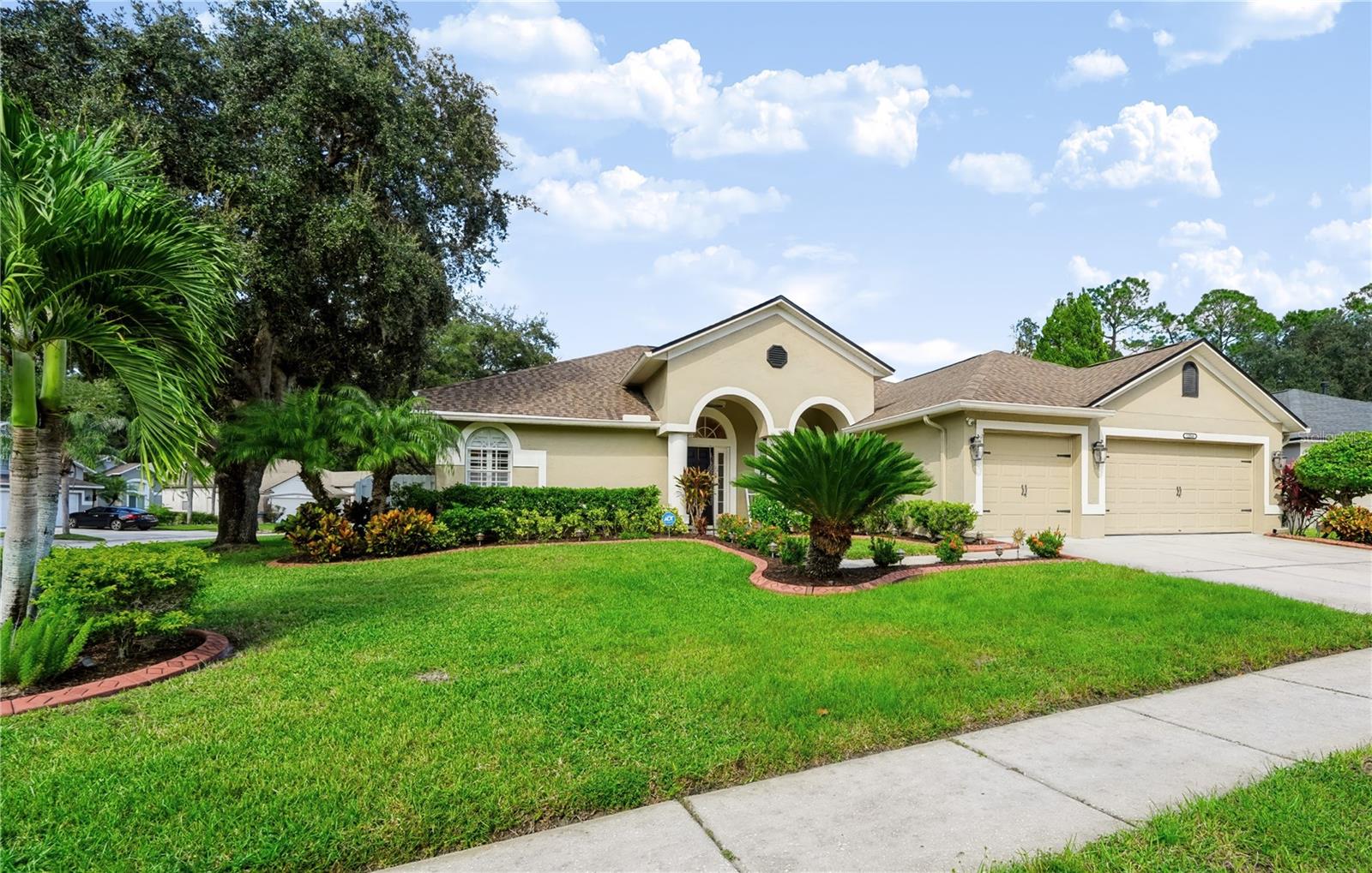 12541 Leatherleaf Dr, FL