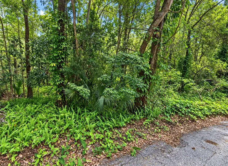0 Olive St, FL