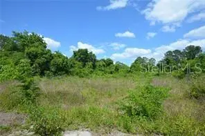 Silver Springs Shores listing