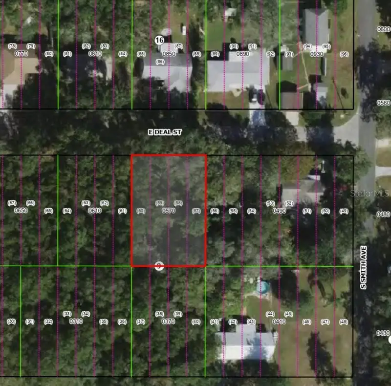 3330 E Deal St, FL