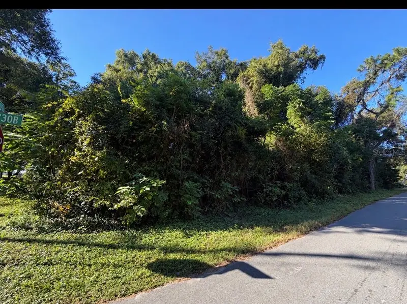 3711 Cr 230b, FL