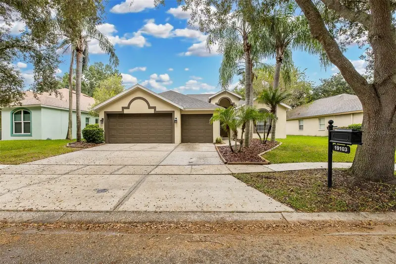 19103 Dove Creek Dr, FL