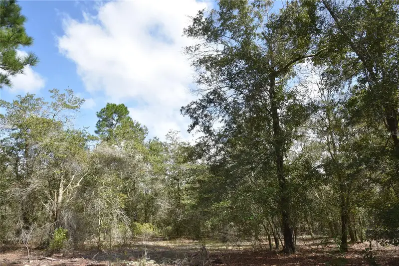9150 Se Us Highway 301, FL