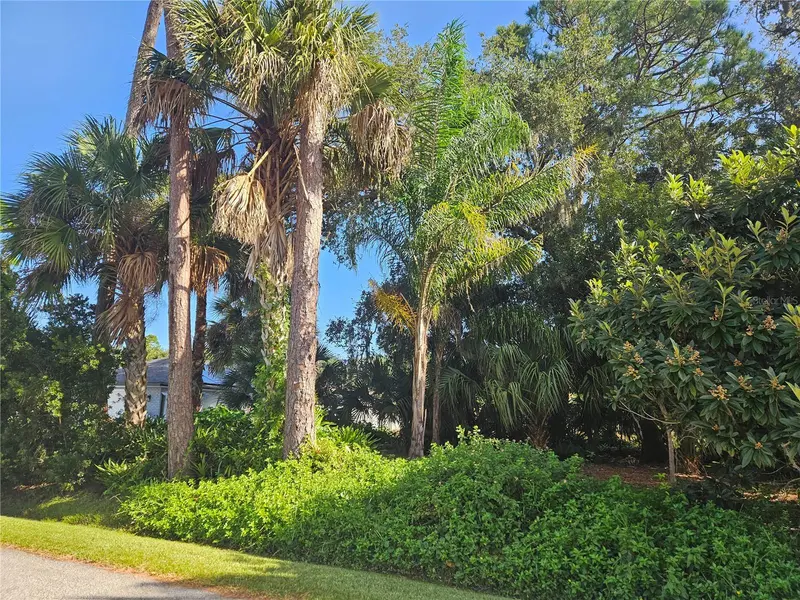 Pine Tree Dr, FL