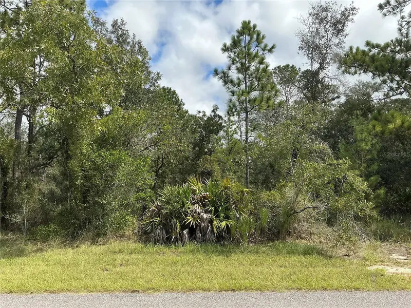 12510 Marbled Godwit Rd, FL