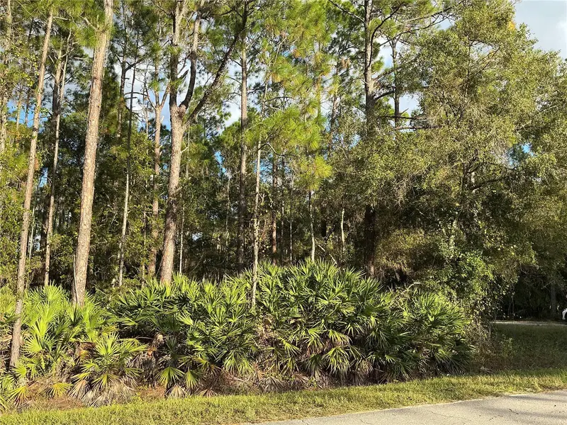 1589 Avocado Blvd, FL