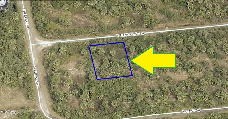 880 Yellowtail Street Sw, Palm Bay, Fl 32908, FL