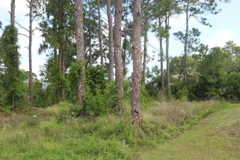 1531 Walker Street Se, Palm Bay, Fl 32909, FL