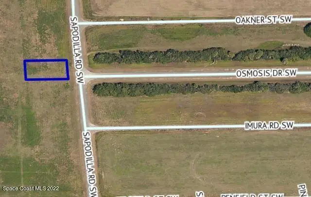 2250 Sapodilla Road Sw, Palm Bay, Fl 32908, FL