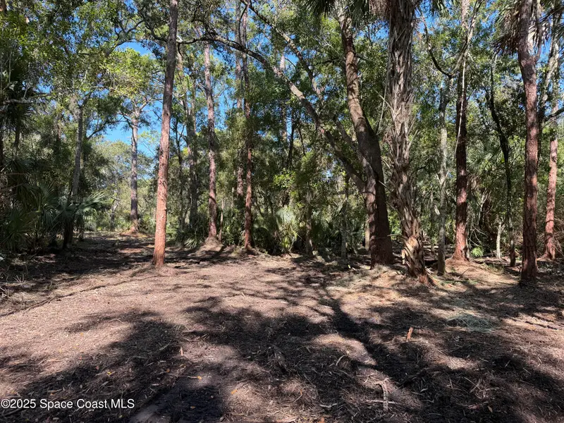 0000 Valkaria Road, FL
