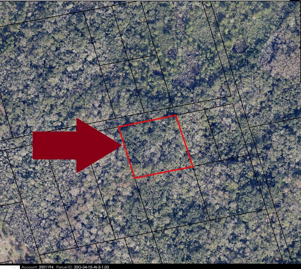 00000 No Access W Of Meadows Green Road, Mims, Fl 32754, FL