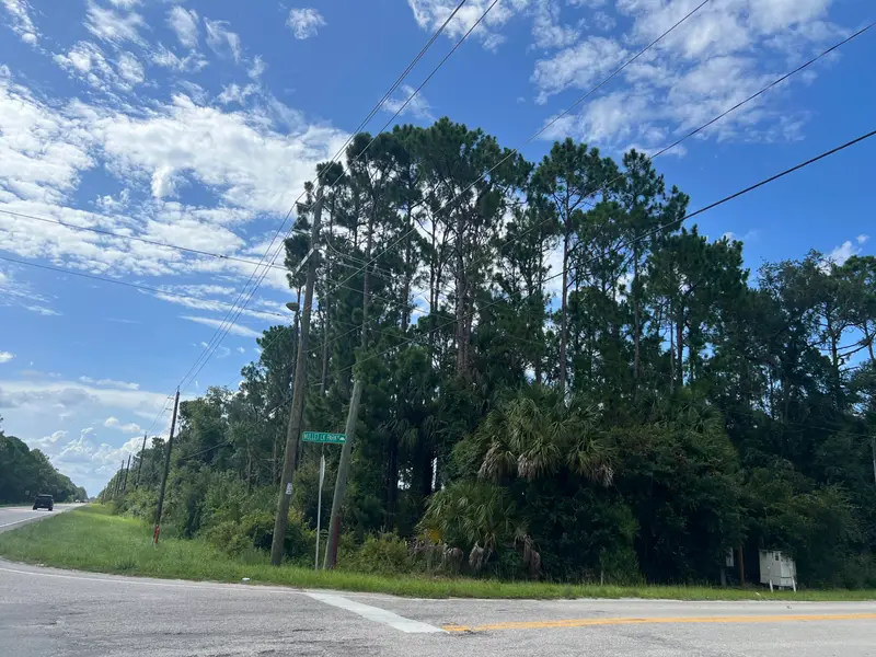 0000 Highway 46, Geneva, Fl 32732, FL