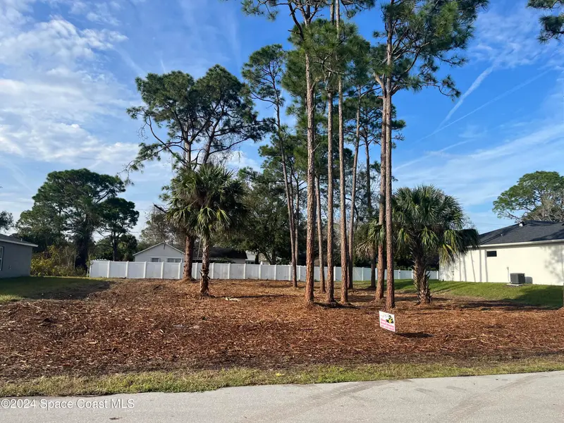 1141 Tiger Street Se, Palm Bay, Fl 32909, FL