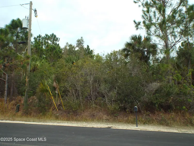 401 Sw Lamon Street Sw, Palm Bay, Fl 32908, FL