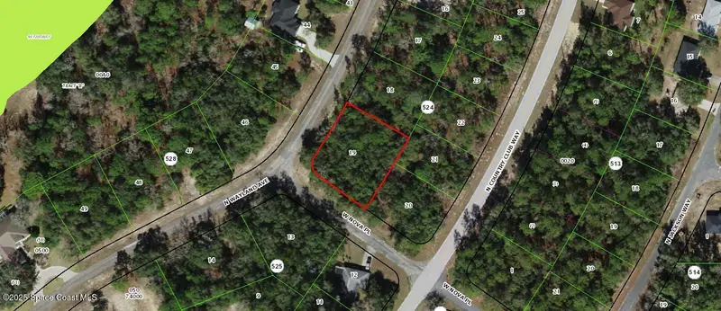 9539 N Wayland Avenue, Citrus Springs, Fl 34434, FL