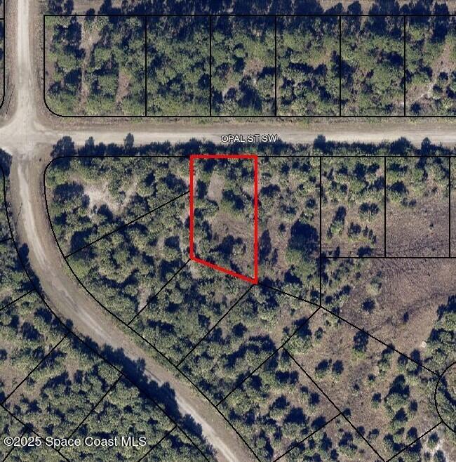 768 Opal Street Sw, Palm Bay, Fl 32908, FL