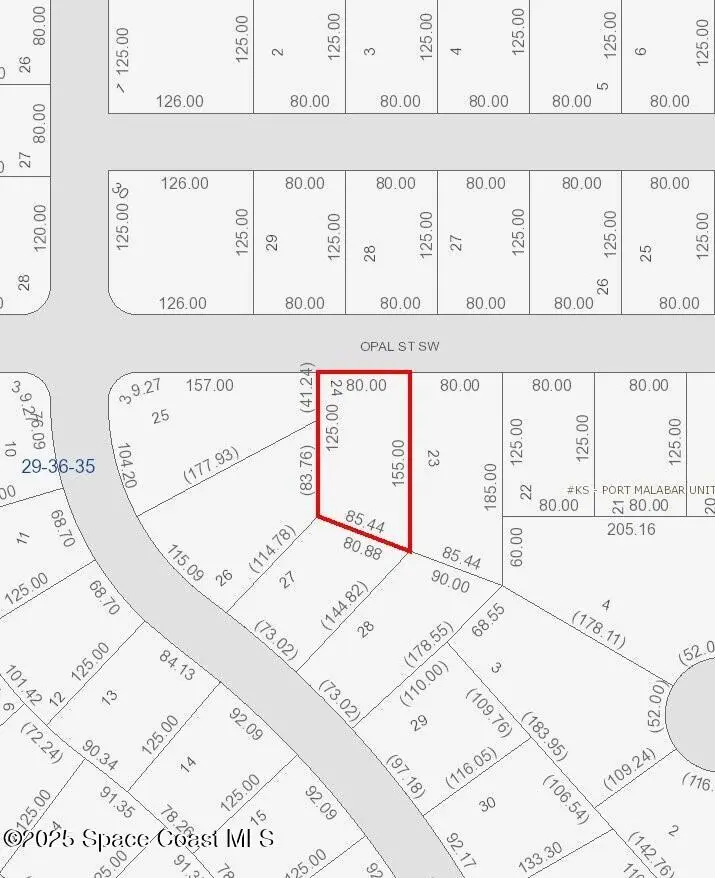 768 Opal Street Sw, Palm Bay, Fl 32908, FL