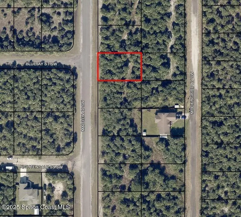 3313 Madden Avenue Sw, Palm Bay, Fl 32908, FL