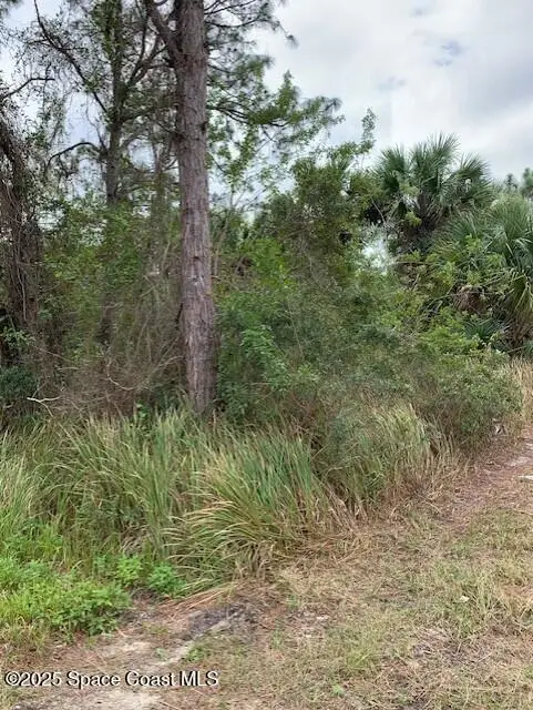 1158 Satin Road Sw, Palm Bay, Fl 32908, FL