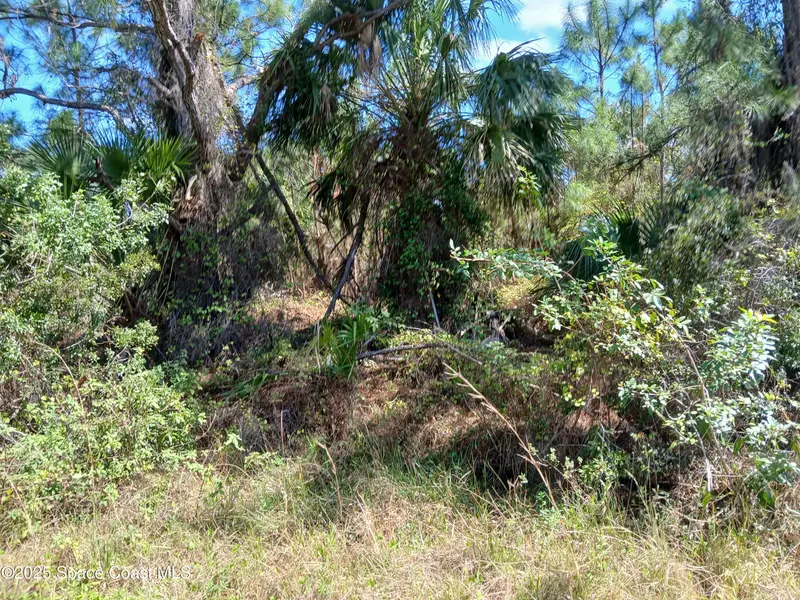 2777 Valentine Avenue Sw, Palm Bay, Fl 32908, FL