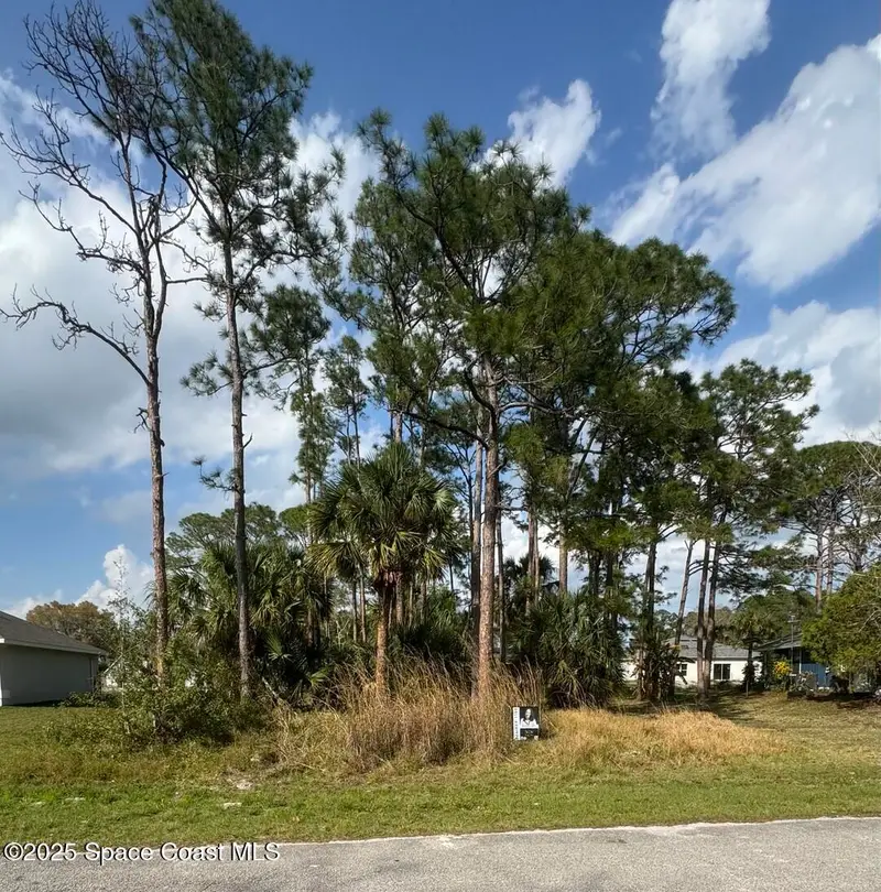 443 Wayland Road Sw, Palm Bay, Fl 32908, FL