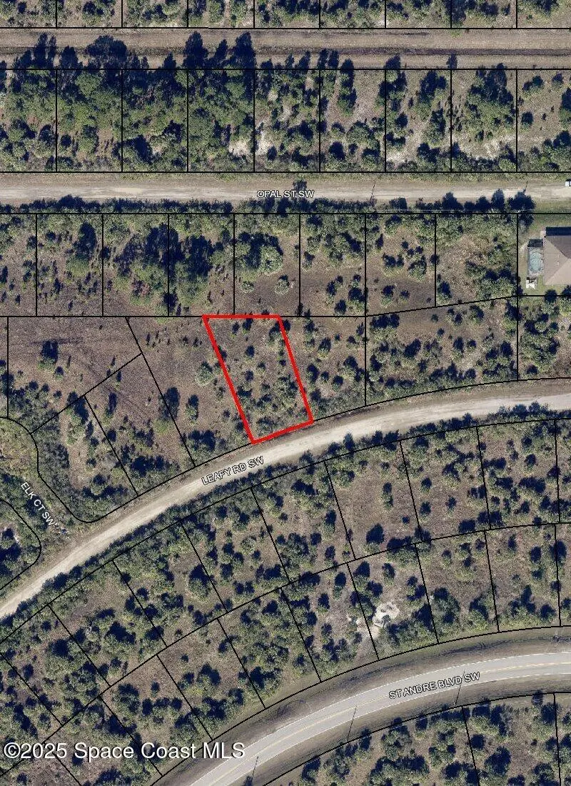 669 Leafy Road Sw, Palm Bay, Fl 32908, FL