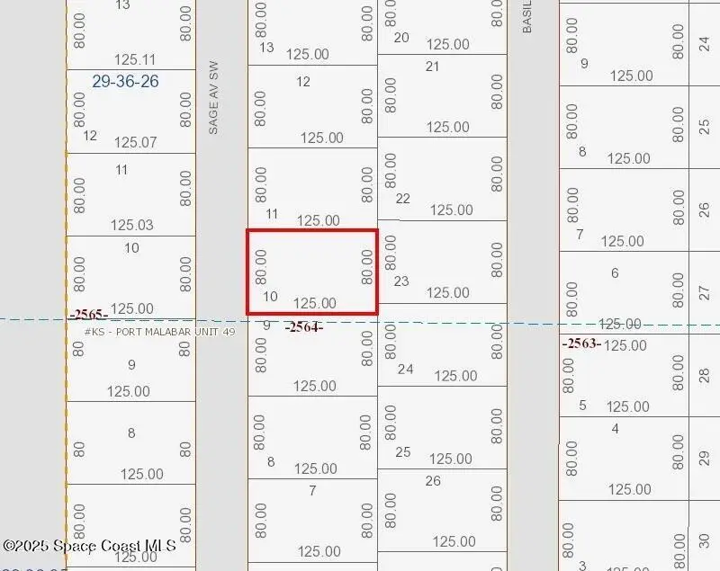 2843 Sage Avenue Sw, Palm Bay, Fl 32908, FL