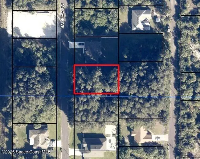 2843 Sage Avenue Sw, Palm Bay, Fl 32908, FL