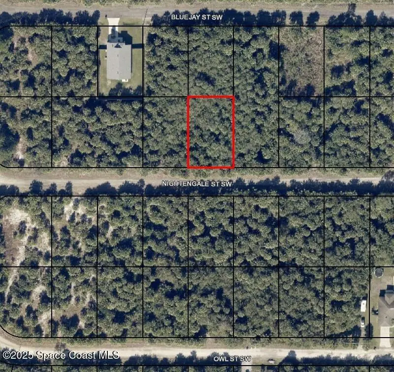 863 Nightengale Street Sw, Palm Bay, Fl 32908, FL