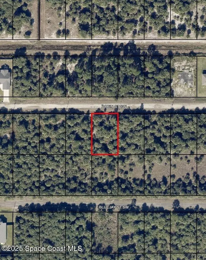846 Robin Street Sw, Palm Bay, Fl 32908, FL