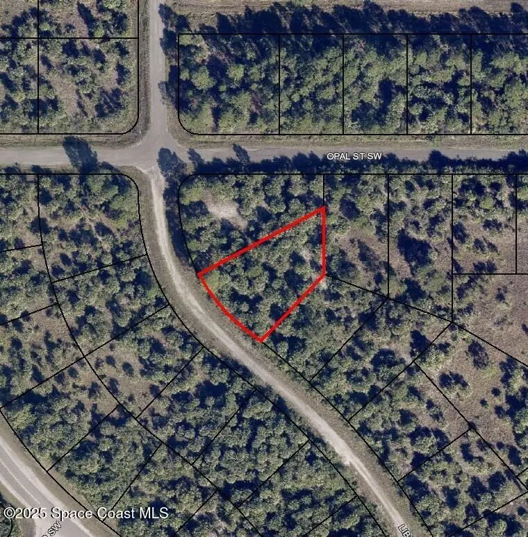 3041 Libby Avenue Sw, Palm Bay, Fl 32908, FL