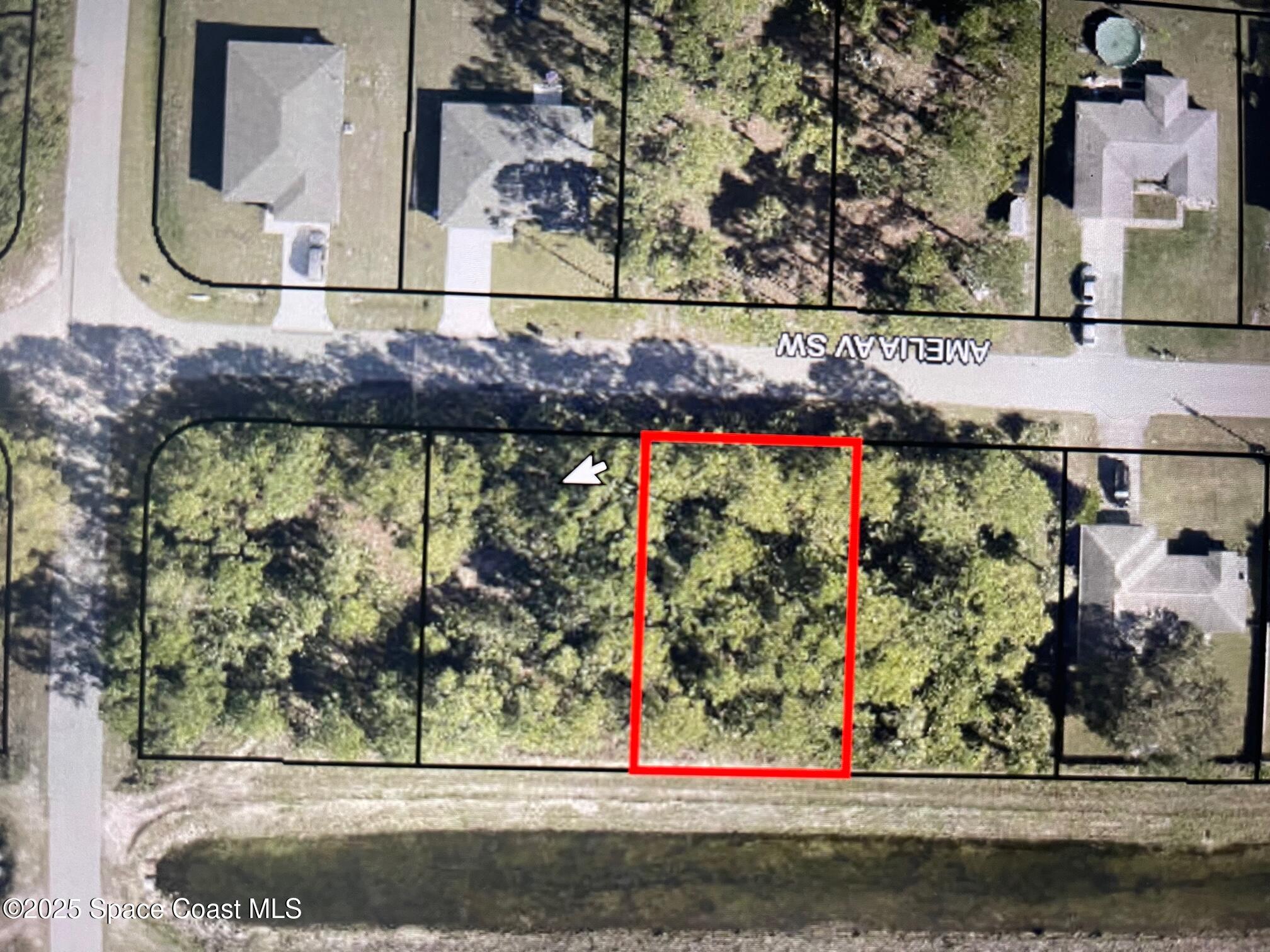 1322 Amelia Avenue Sw, Palm Bay, Fl 32908, FL