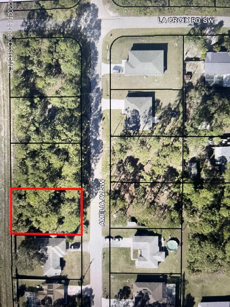 1330 Amelia Avenue Sw, Palm Bay, Fl 32908, FL