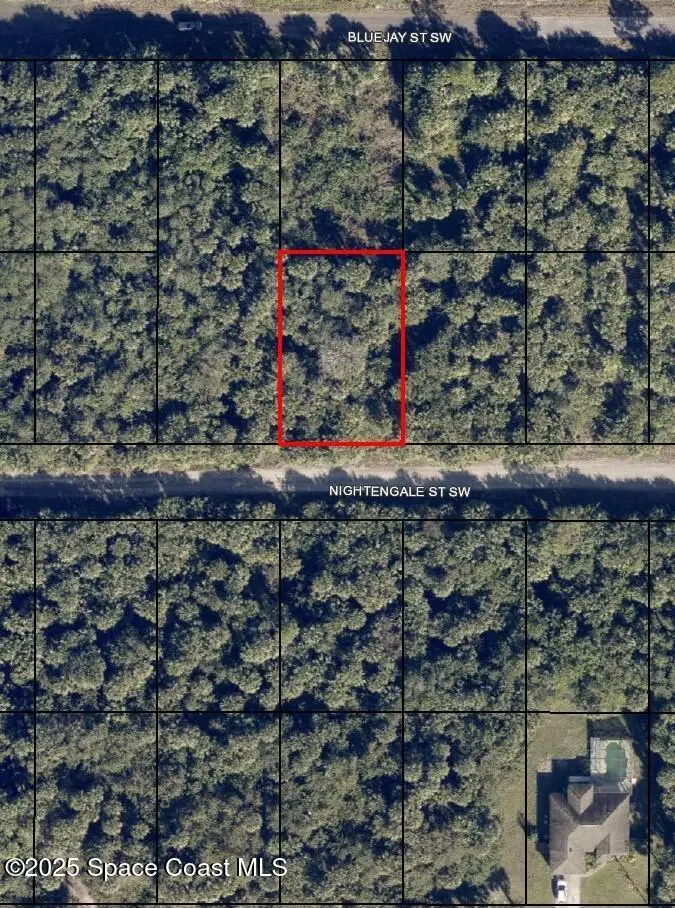 847 Nightengale Street Sw, Palm Bay, Fl 32908, FL