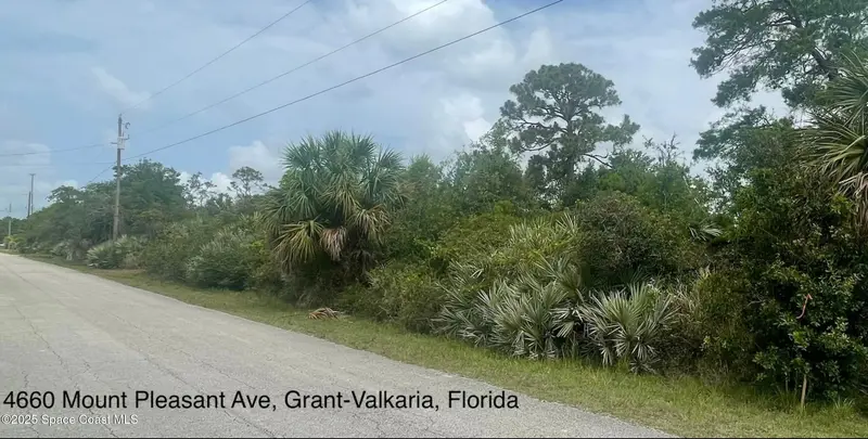 4660 Mount Pleasant Avenue, Grant-Valkaria, Fl 32949, FL