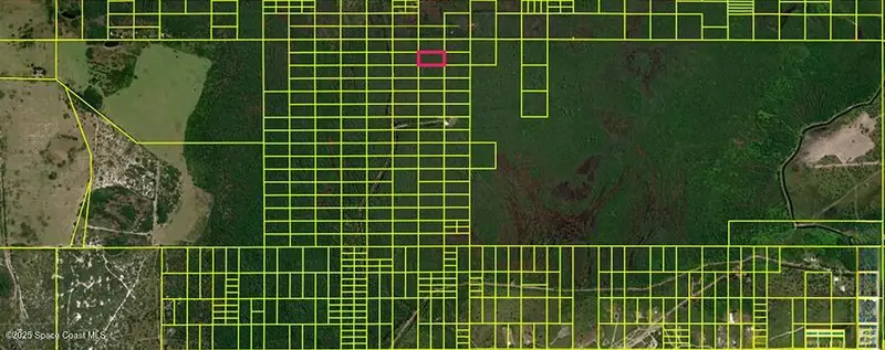 11120020 Holopaw Groves Road, Magnolia Square, Fl 34771, FL