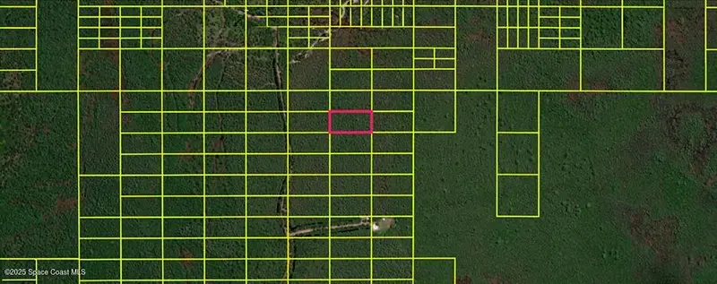 11120020 Holopaw Groves Road, Magnolia Square, Fl 34771, FL