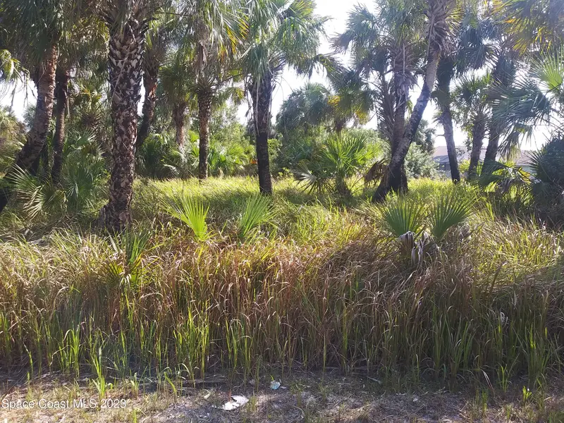 622 Heron Road, Palm Bay, Fl 32908, FL