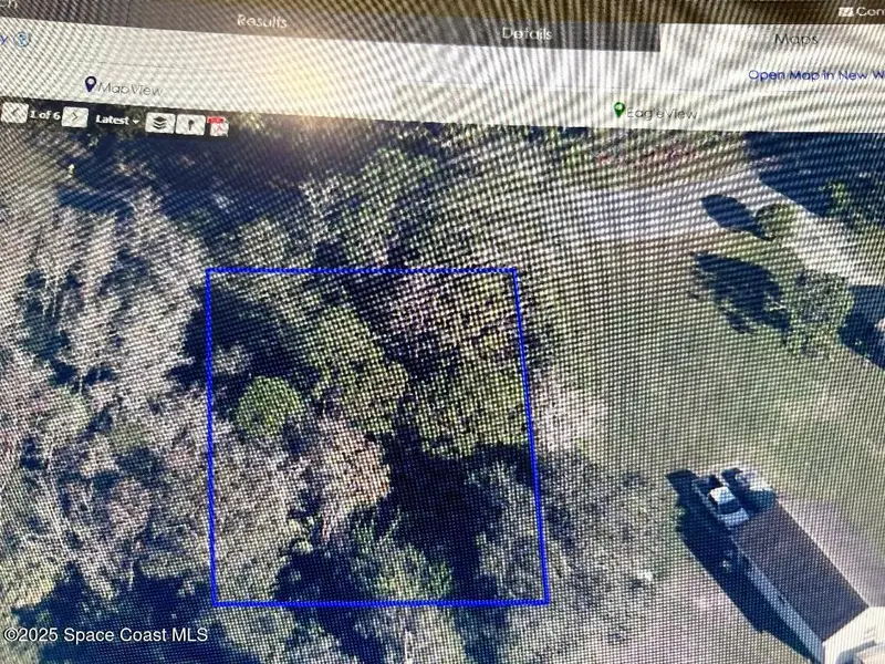 906 Cotorro Road Se, Palm Bay, Fl 32909, FL