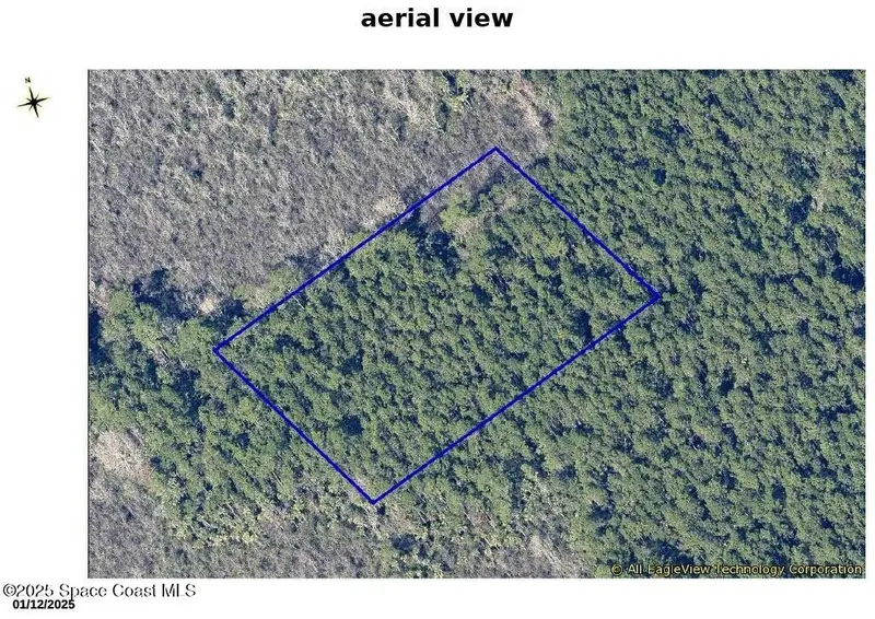 000 Unknown, Mims, Fl 32754, FL