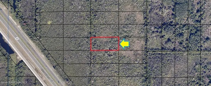 00000 No Access East Of Fl-528, Cocoa, Fl 32926, FL