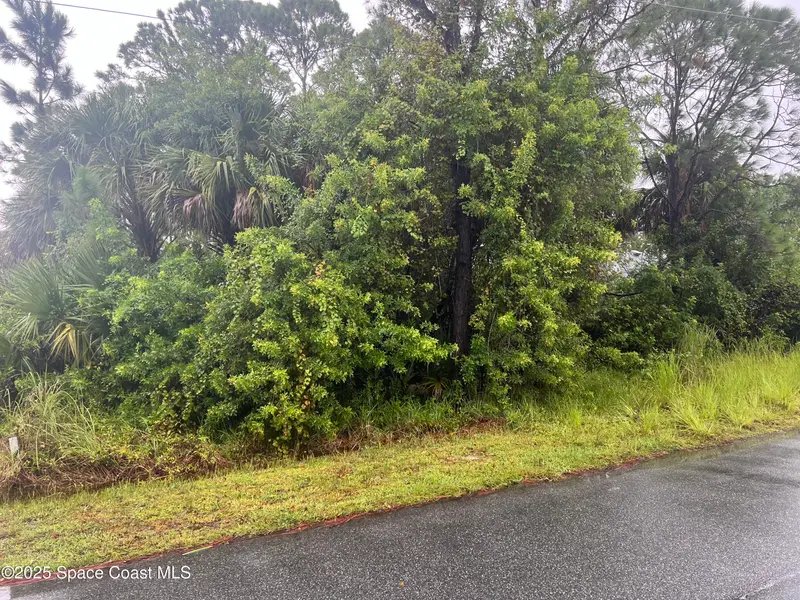 149 Feldman Street Se, Palm Bay, Fl 32909, FL