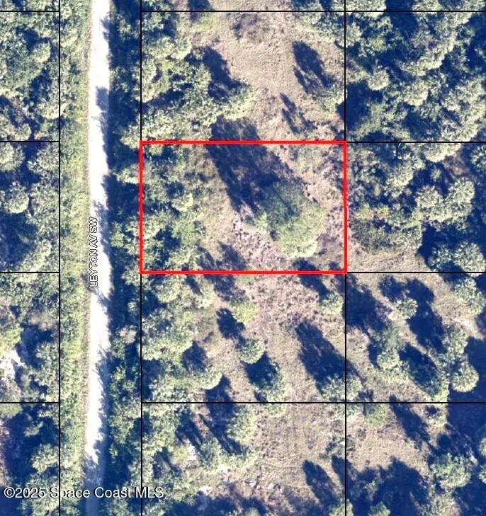 2653 Leyton Avenue Sw, Palm Bay, Fl 32908, FL