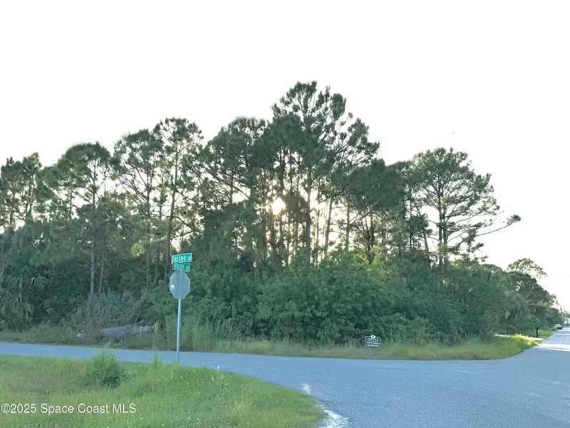 175 Foley Street Se, Palm Bay, Fl 32909, FL