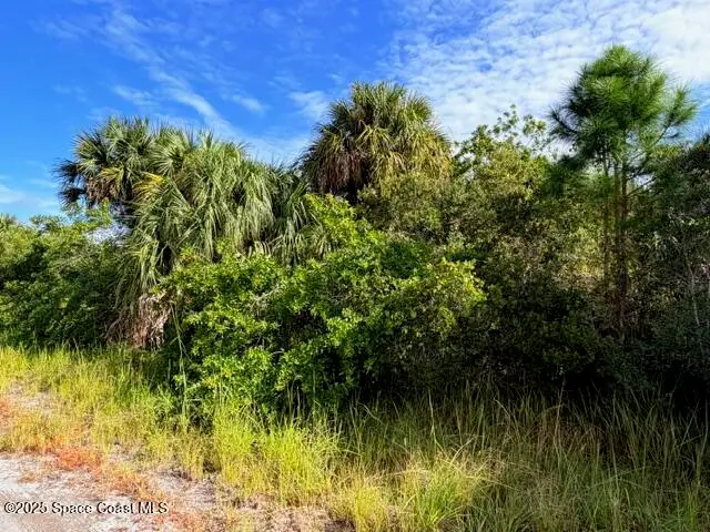 1921 Conkling Avenue, Palm Bay, Fl 32908, FL