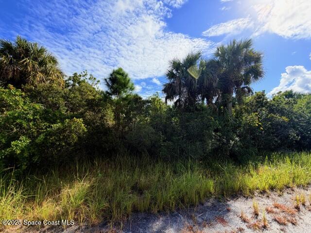 1921 Conkling Avenue, Palm Bay, Fl 32908, FL