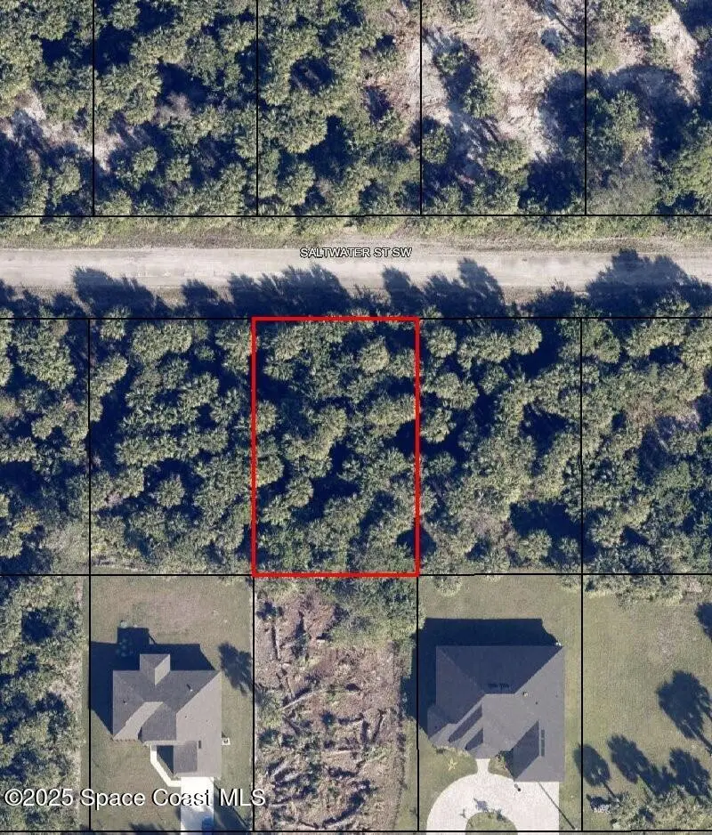 818 Saltwater Street Sw, Palm Bay, Fl 32908, FL