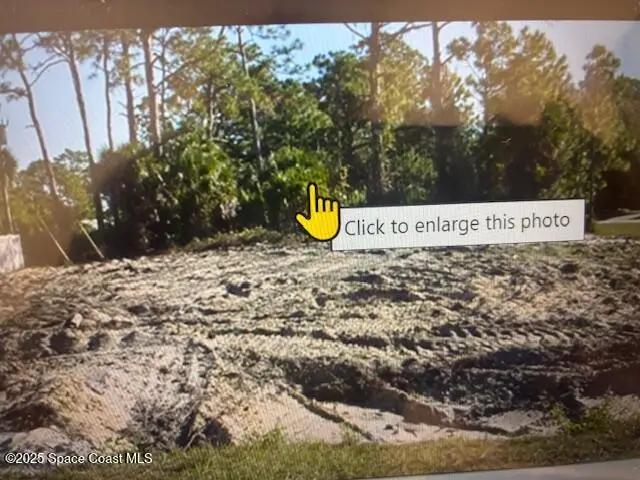 00 Unknown, Palm Bay, Fl 32908, FL